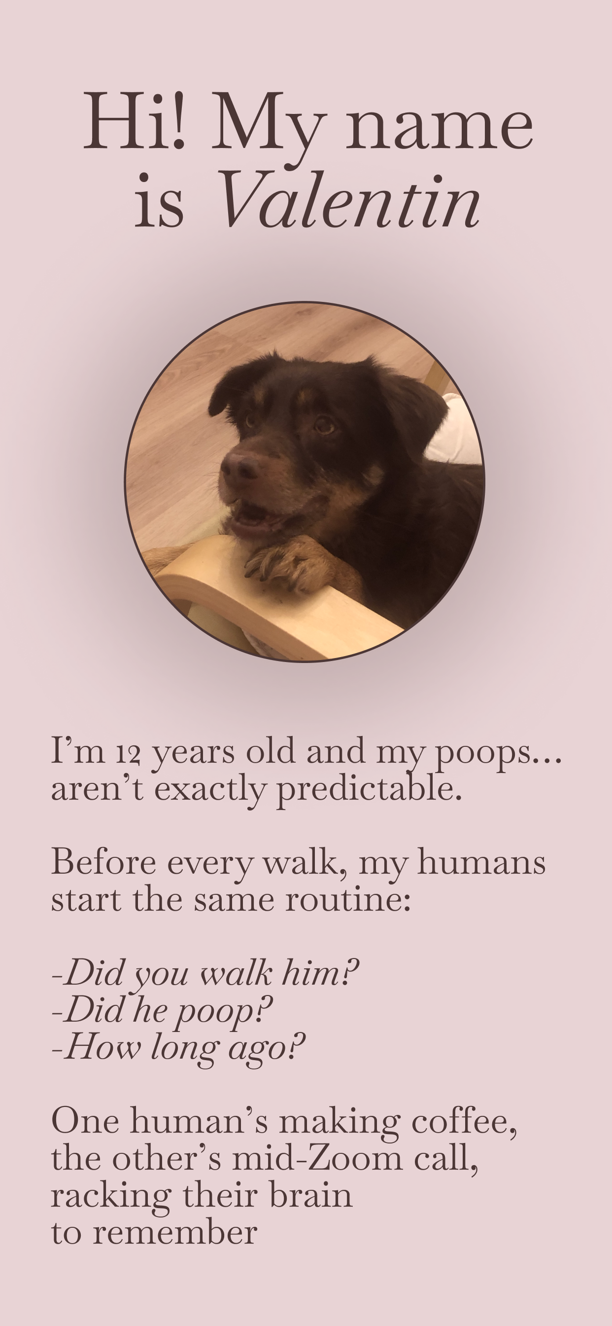 PottyDog Screenshot 1